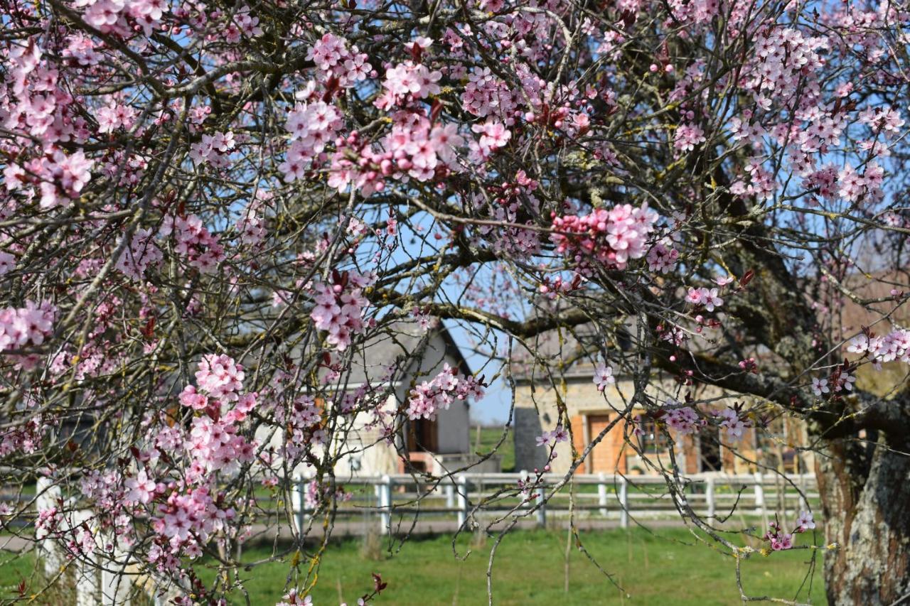 Le Chene D'Or Bed & Breakfast Marcheseuil Bagian luar foto