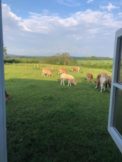 Le Chene D'Or Bed & Breakfast Marcheseuil Bagian luar foto