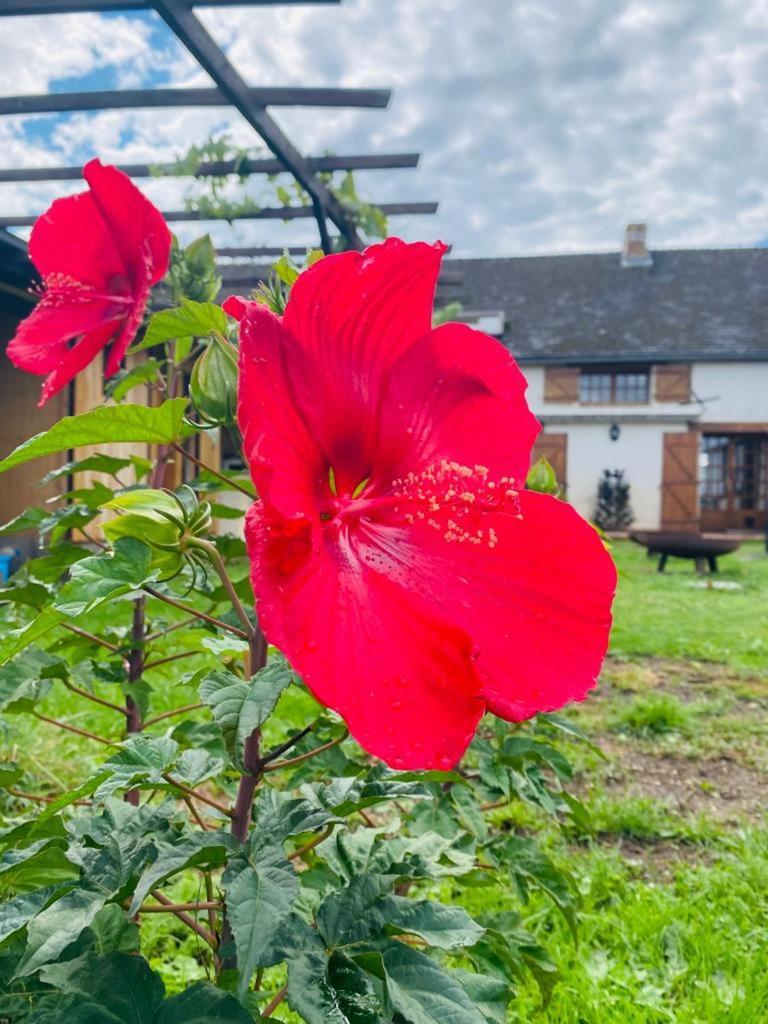 Le Chene D'Or Bed & Breakfast Marcheseuil Bagian luar foto