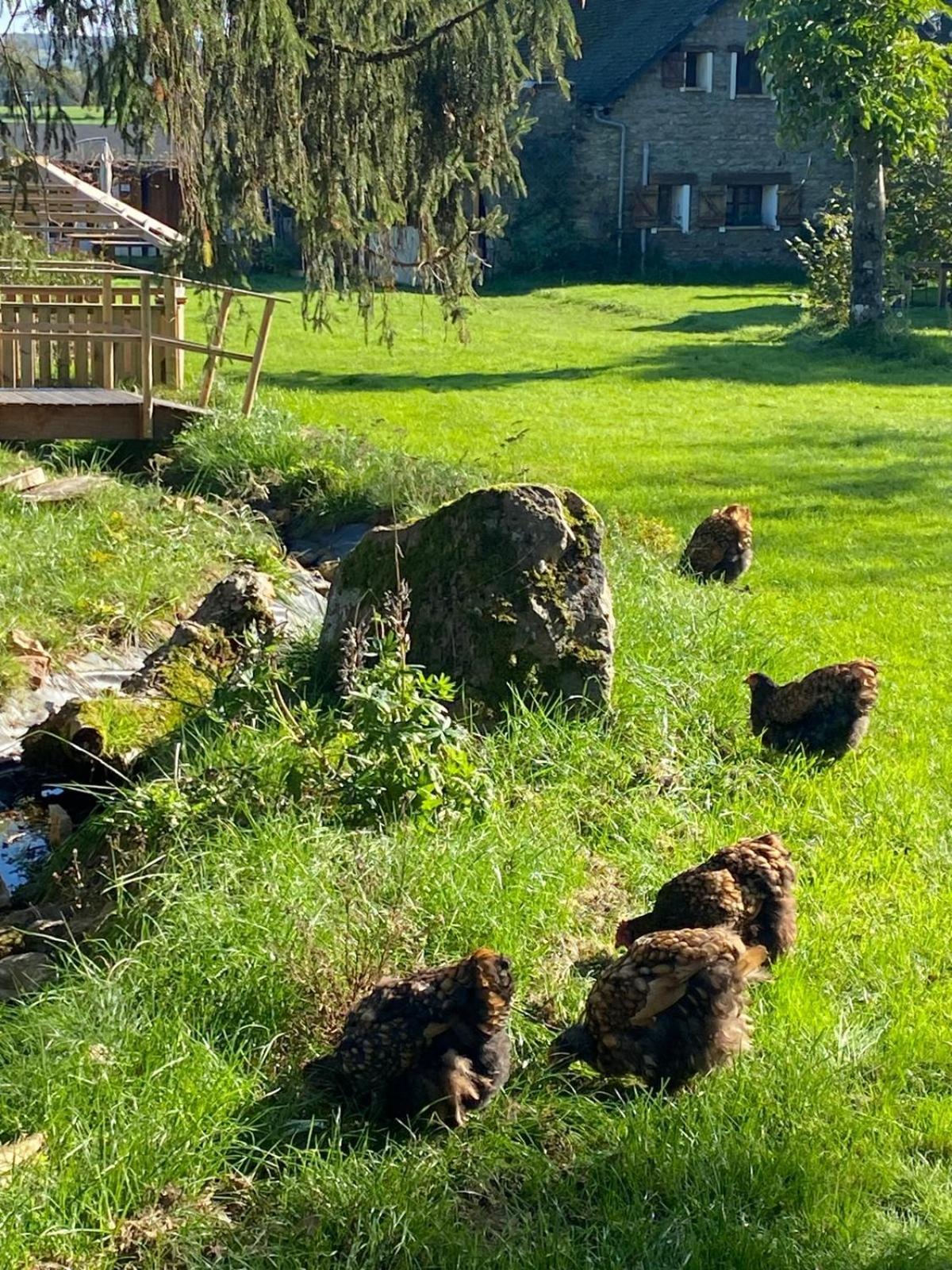 Le Chene D'Or Bed & Breakfast Marcheseuil Bagian luar foto